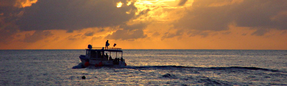 User banner image